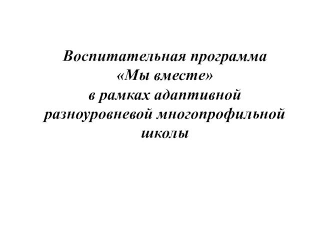 Воспитательная программа «Мы вместе» в рамках адаптивной разноуровневой многопрофильной школы