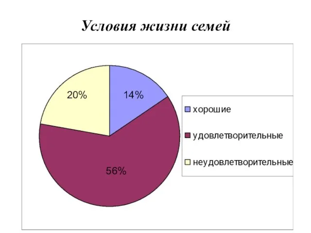 Условия жизни семей 14% 20% 56%