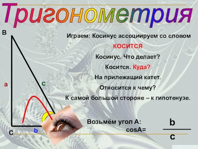 Тригонометрия С В А а c b Играем: Косинус ассоциируем со словом