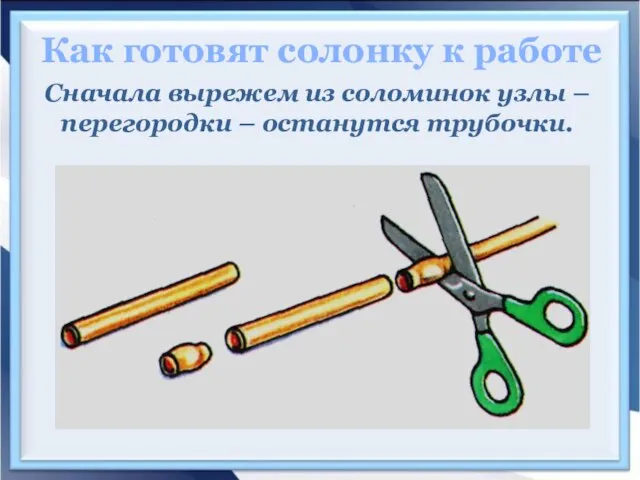 Как готовят солонку к работе Сначала вырежем из соломинок узлы – перегородки – останутся трубочки.