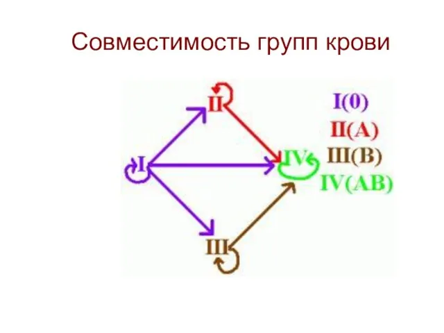 Совместимость групп крови