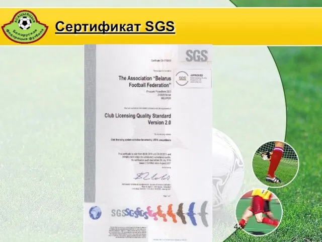 АБФФ Сертификат SGS