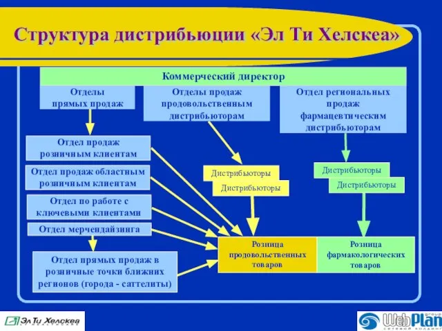 Структура дистрибьюции «Эл Ти Хелскеа» Отделы прямых продаж Розница продовольственных товаров Отдел