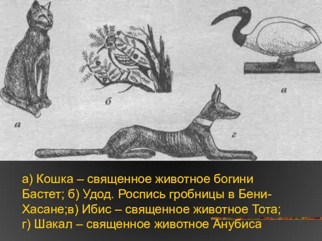 а) Кошка – священное животное богини Бастет; б) Удод. Роспись гробницы в