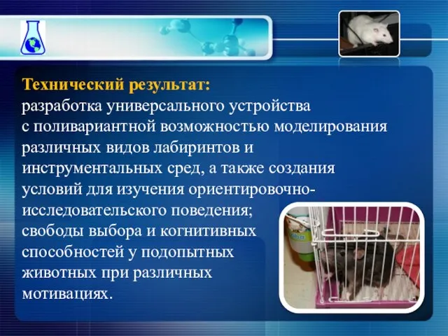 Технический результат: разработка универсального устройства с поливариантной возможностью моделирования различных видов лабиринтов