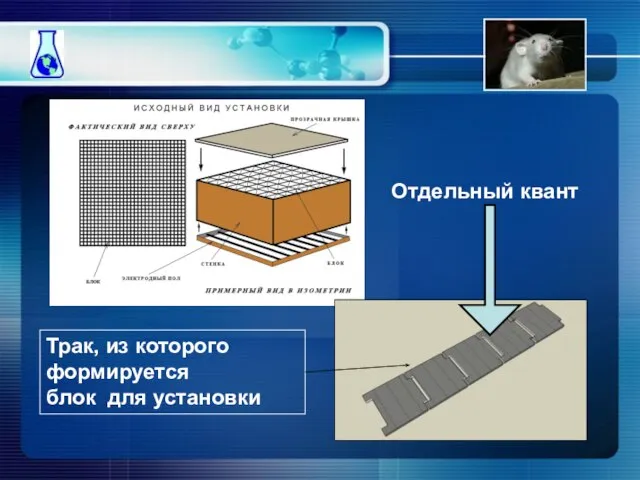 Трак, из которого формируется блок для установки Отдельный квант