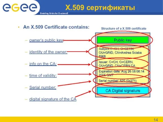 X.509 сертификаты