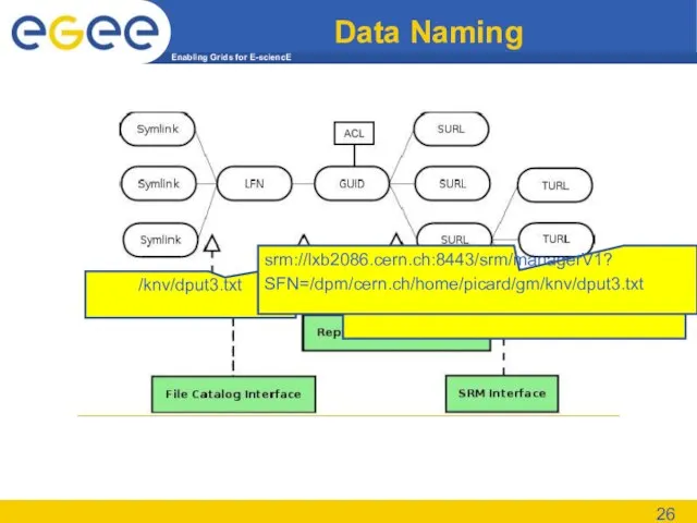 Data Naming /knv/dput3.txt 001736ee-3e18-137c-849a-c1902248beef srm://lxb2086.cern.ch:8443/srm/managerV1? SFN=/dpm/cern.ch/home/picard/gm/knv/dput3.txt