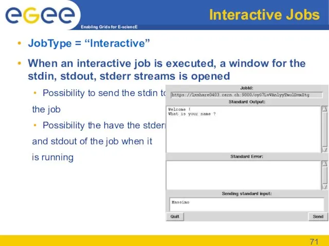 Interactive Jobs JobType = “Interactive” When an interactive job is executed, a
