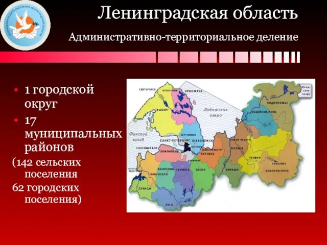 Ленинградская область Административно-территориальное деление 1 городской округ 17 муниципальных районов (142 сельских поселения 62 городских поселения)