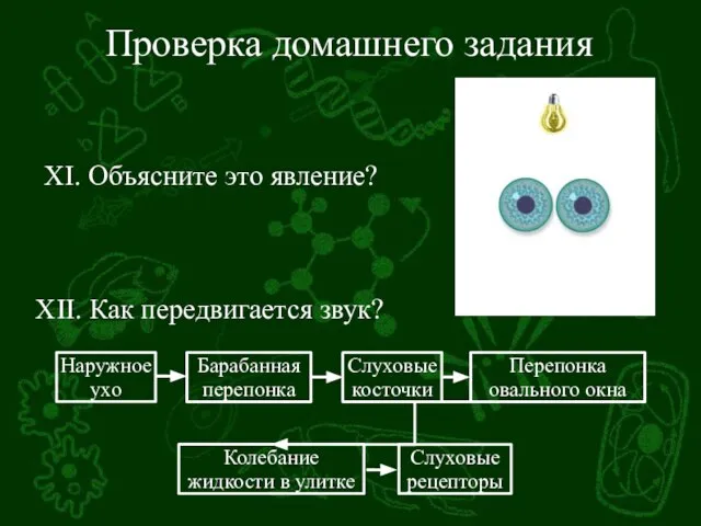 Проверка домашнего задания XII. Как передвигается звук? XI. Объясните это явление?