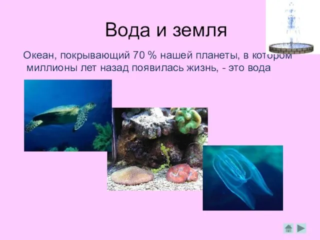 Вода и земля Океан, покрывающий 70 % нашей планеты, в котором миллионы