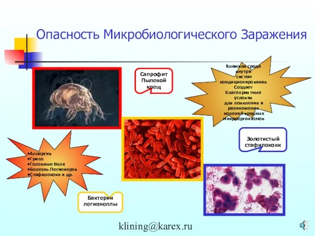 klining@karex.ru Опасность Микробиологического Заражения Сапрофит Пылевой клещ Бактерии легионеллы Золотистый стафилококк Влажная