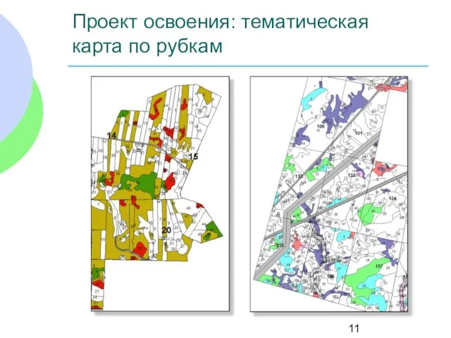 Проект освоения: тематическая карта по рубкам