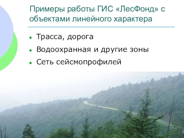 Примеры работы ГИС «ЛесФонд» с объектами линейного характера Трасса, дорога Водоохранная и другие зоны Сеть сейсмопрофилей