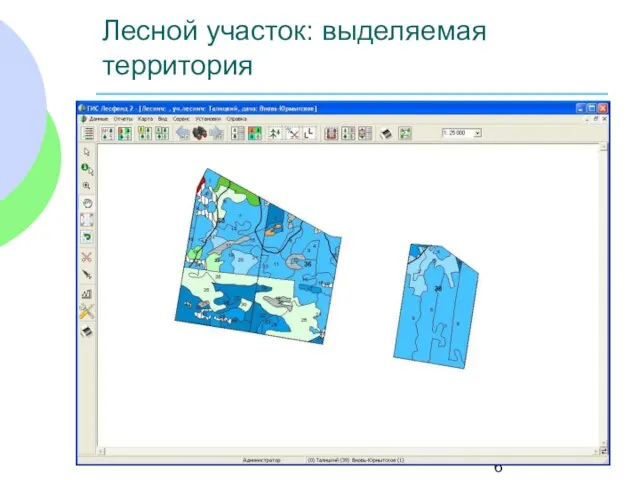 Лесной участок: выделяемая территория