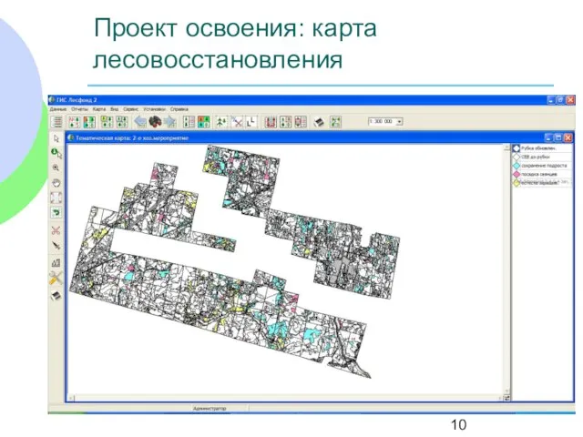 Проект освоения: карта лесовосстановления