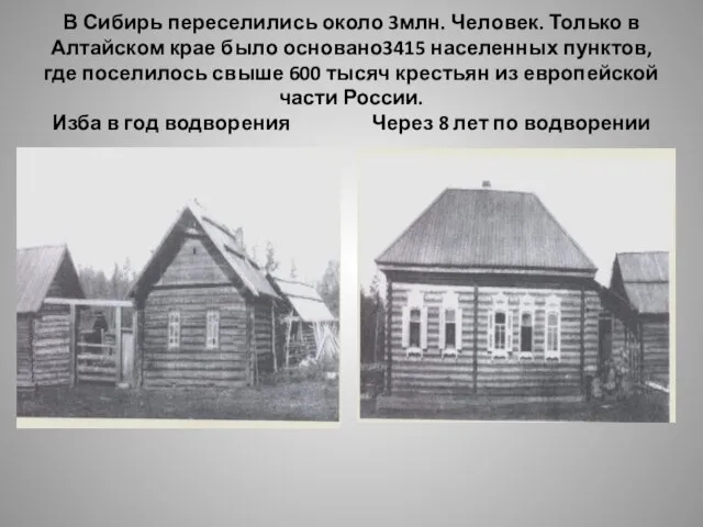 В Сибирь переселились около 3млн. Человек. Только в Алтайском крае было основано3415