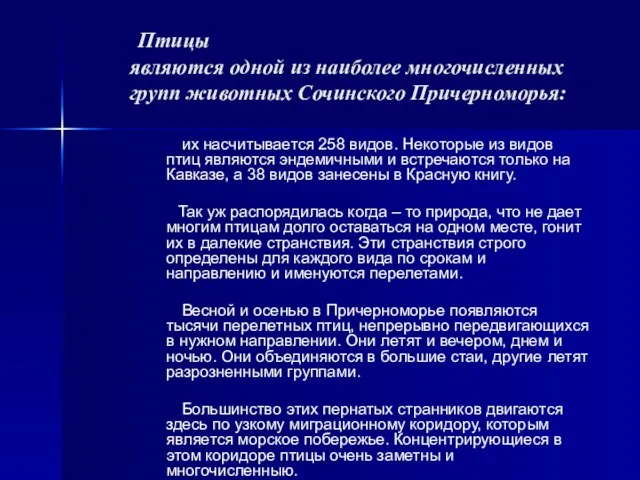 Птицы являются одной из наиболее многочисленных групп животных Сочинского Причерноморья: их насчитывается