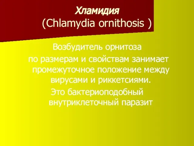 Хламидия (Chlamydia ornithosis ) Возбудитель орнитоза по размерам и свойствам занимает промежуточное