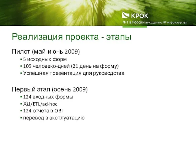 Реализация проекта - этапы Пилот (май-июнь 2009) 5 исходных форм 105 человеко-дней