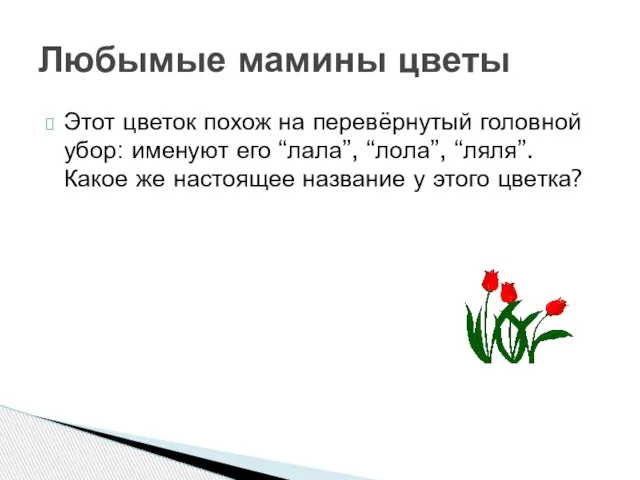 Этот цветок похож на перевёрнутый головной убор: именуют его “лала”, “лола”, “ляля”.