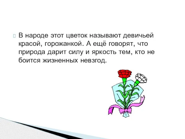 В народе этот цветок называют девичьей красой, горожанкой. А ещё говорят, что