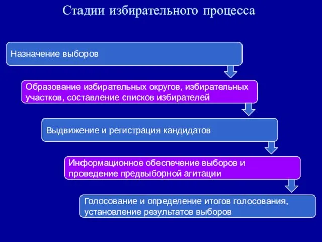 Стадии избирательного процесса Назначение выборов Образование избирательных округов, избирательных участков, составление списков