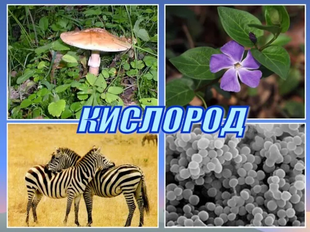 КИСЛОРОД