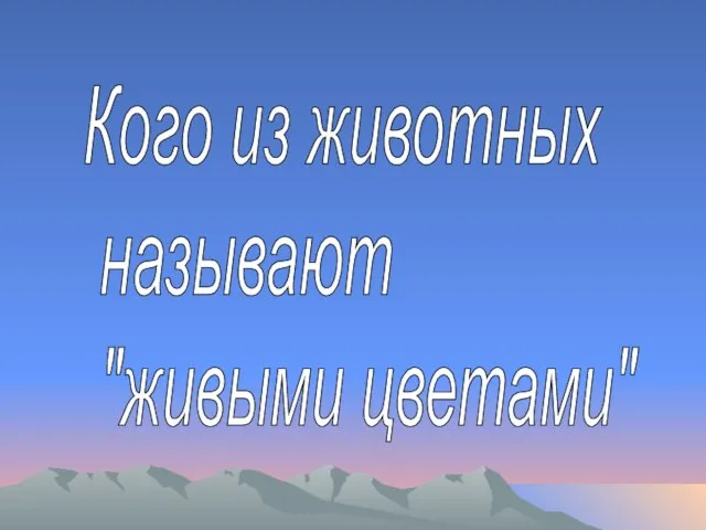 Кого из животных называют "живыми цветами"