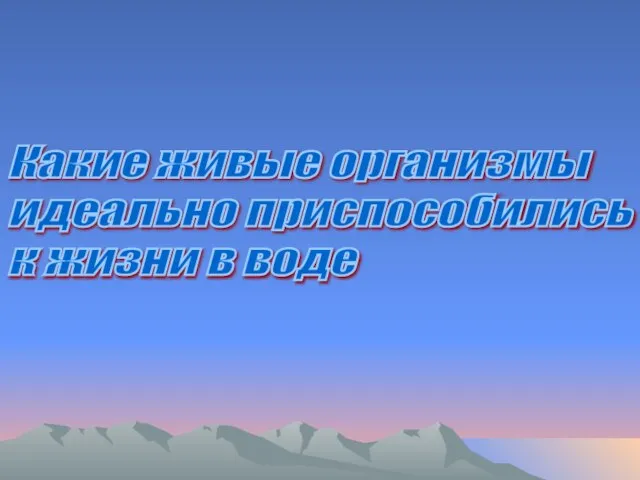 Какие живые организмы идеально приспособились к жизни в воде