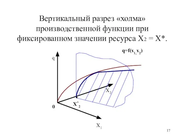 Вертикальный разрез «холма» производственной функции при фиксированном значении ресурса Х2 = Х*.