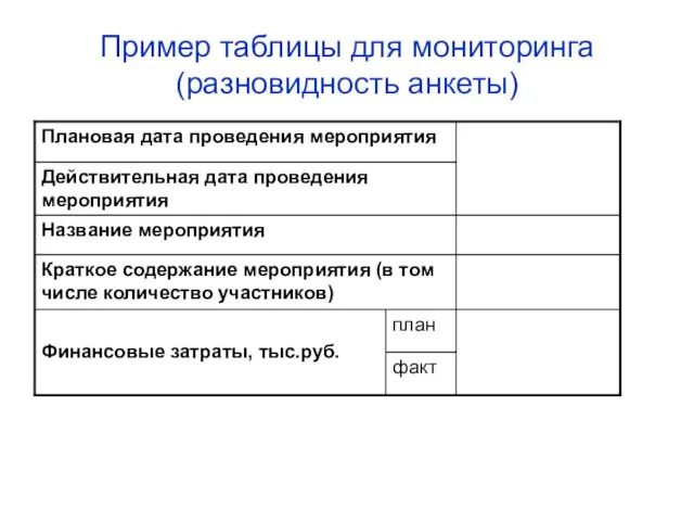 Пример таблицы для мониторинга (разновидность анкеты)