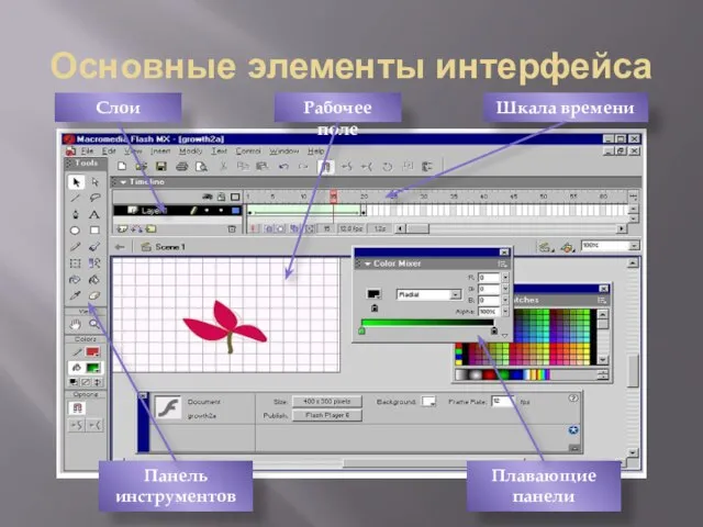 Основные элементы интерфейса Рабочее поле Слои Шкала времени Панель инструментов Плавающие панели