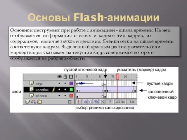 Основы Flash-анимации Основной инструмент при работе с анимацией - шкала времени. На