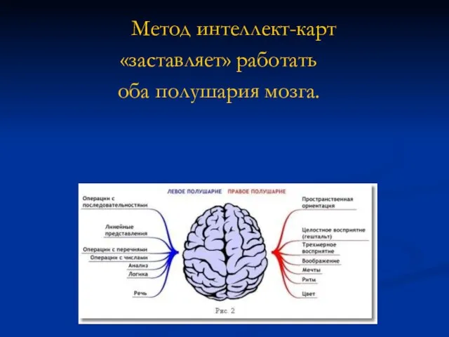 Метод интеллект-карт «заставляет» работать оба полушария мозга.