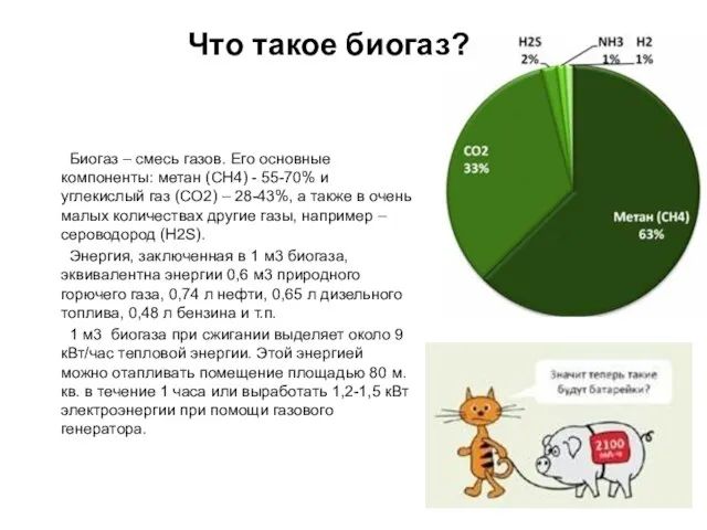 Биогаз – смесь газов. Его основные компоненты: метан (СH4) - 55-70% и