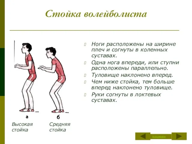 Стойка волейболиста Ноги расположены на ширине плеч и согнуты в коленных суставах.