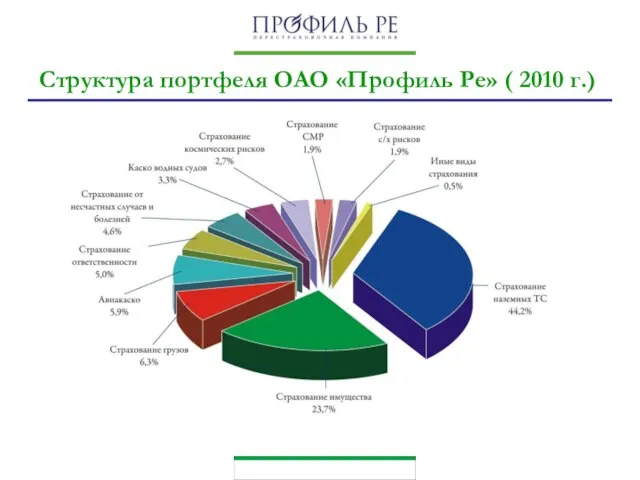 Структура портфеля ОАО «Профиль Ре» ( 2010 г.)