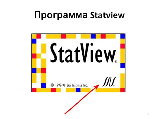 Программа Statview