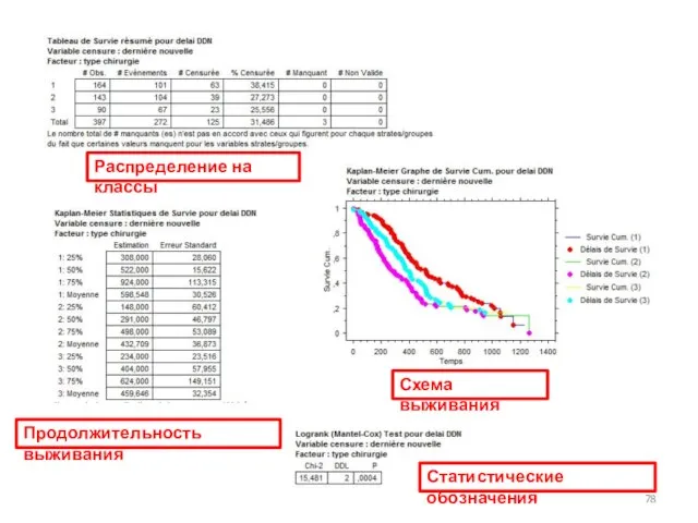 Распределение на классы Продолжительность выживания Схема выживания Статистические обозначения