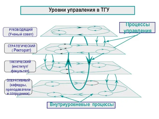 Уровни управления в ТГУ