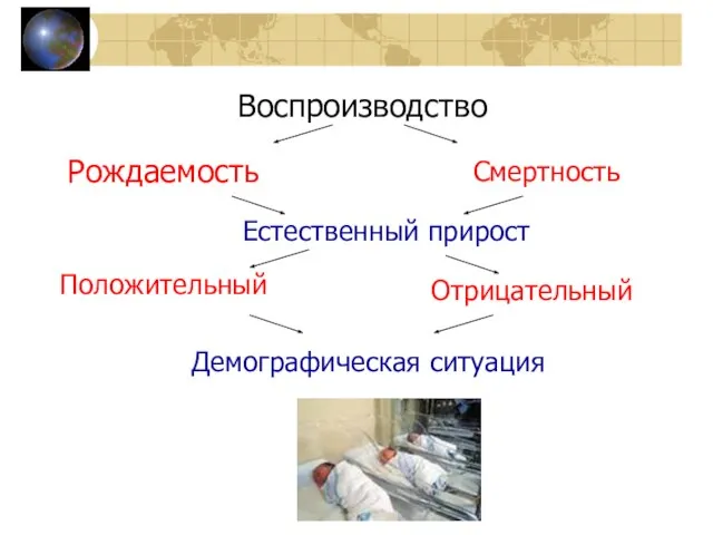 Воспроизводство Рождаемость Смертность Естественный прирост Положительный Отрицательный Демографическая ситуация