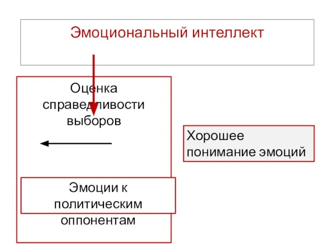 Эмоциональный интеллект Хорошее понимание эмоций Оценка справедливости выборов Эмоции к политическим оппонентам