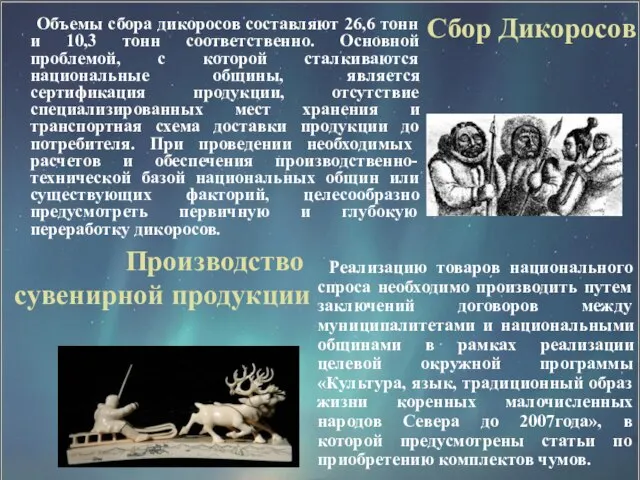 Сбор Дикоросов Объемы сбора дикоросов составляют 26,6 тонн и 10,3 тонн соответственно.