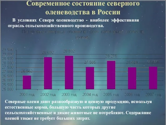 Современное состояние северного оленеводства в России В условиях Севера оленеводство - наиболее