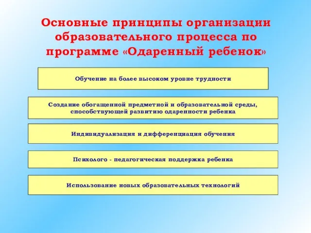 Основные принципы организации образовательного процесса по программе «Одаренный ребенок» Создание обогащенной предметной