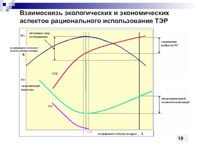 Взаимосвязь экологических и экономических аспектов рационального использования ТЭР 19