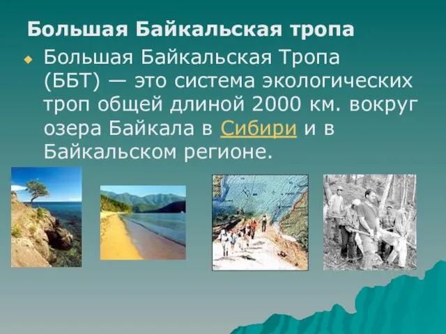 Большая Байкальская тропа Большая Байкальская Тропа (ББТ) — это система экологических троп