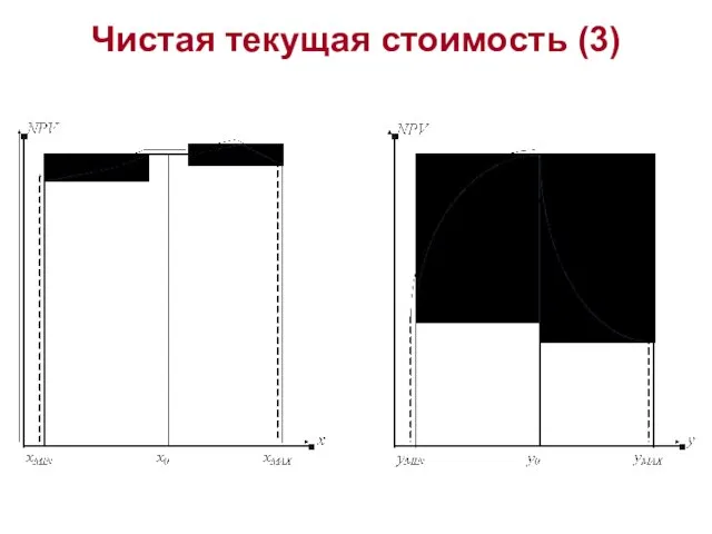 Чистая текущая стоимость (3)